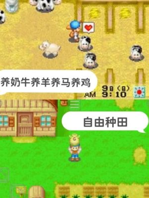 牧场物语矿石镇冬天可以干嘛