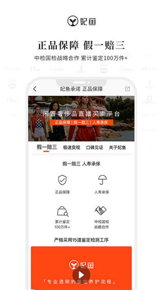 妃鱼图片1