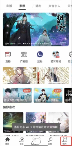 猫耳夜听5