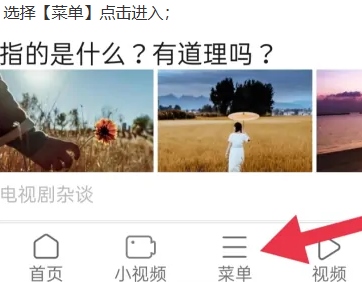 天马浏览器图片7